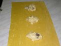 preparazione-Ravioli-con-i-Funghi-Porcini_01