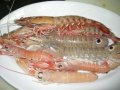 30-Bollito-di-Pesce-Fresco-01