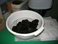 68_Tartufo-Nero-Pregiato